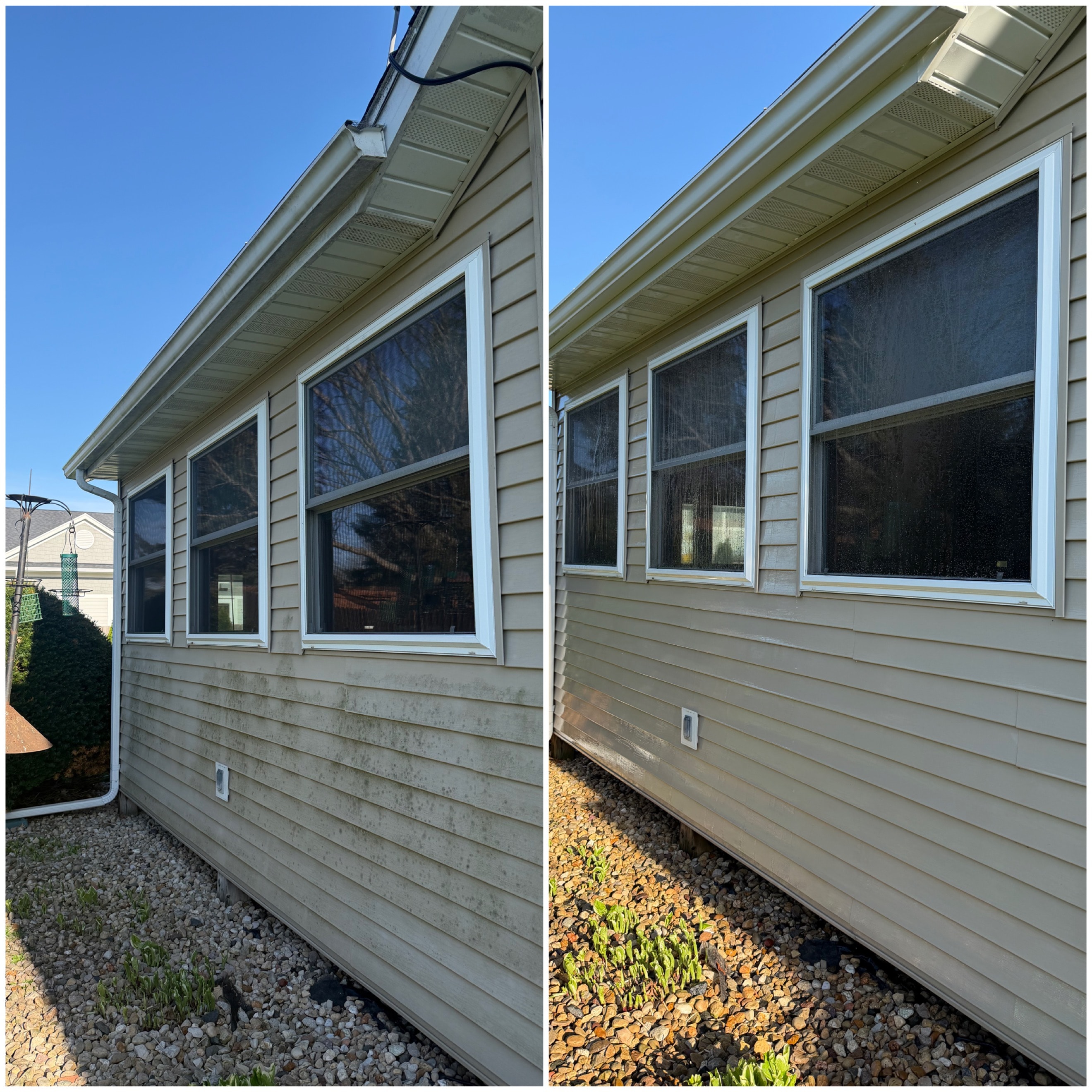 Wood deck after pressure washing — natural color restored