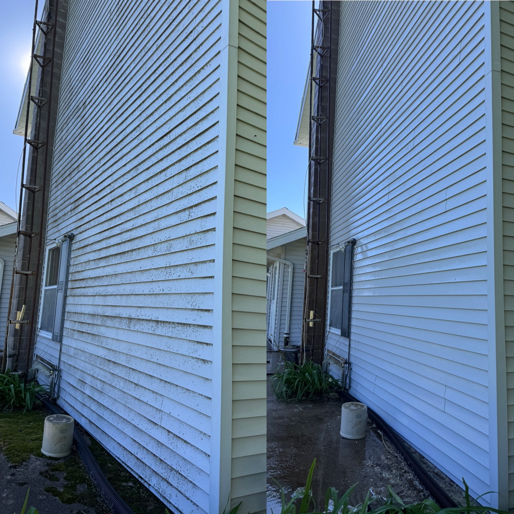 White house siding after soft washing — bright and clean