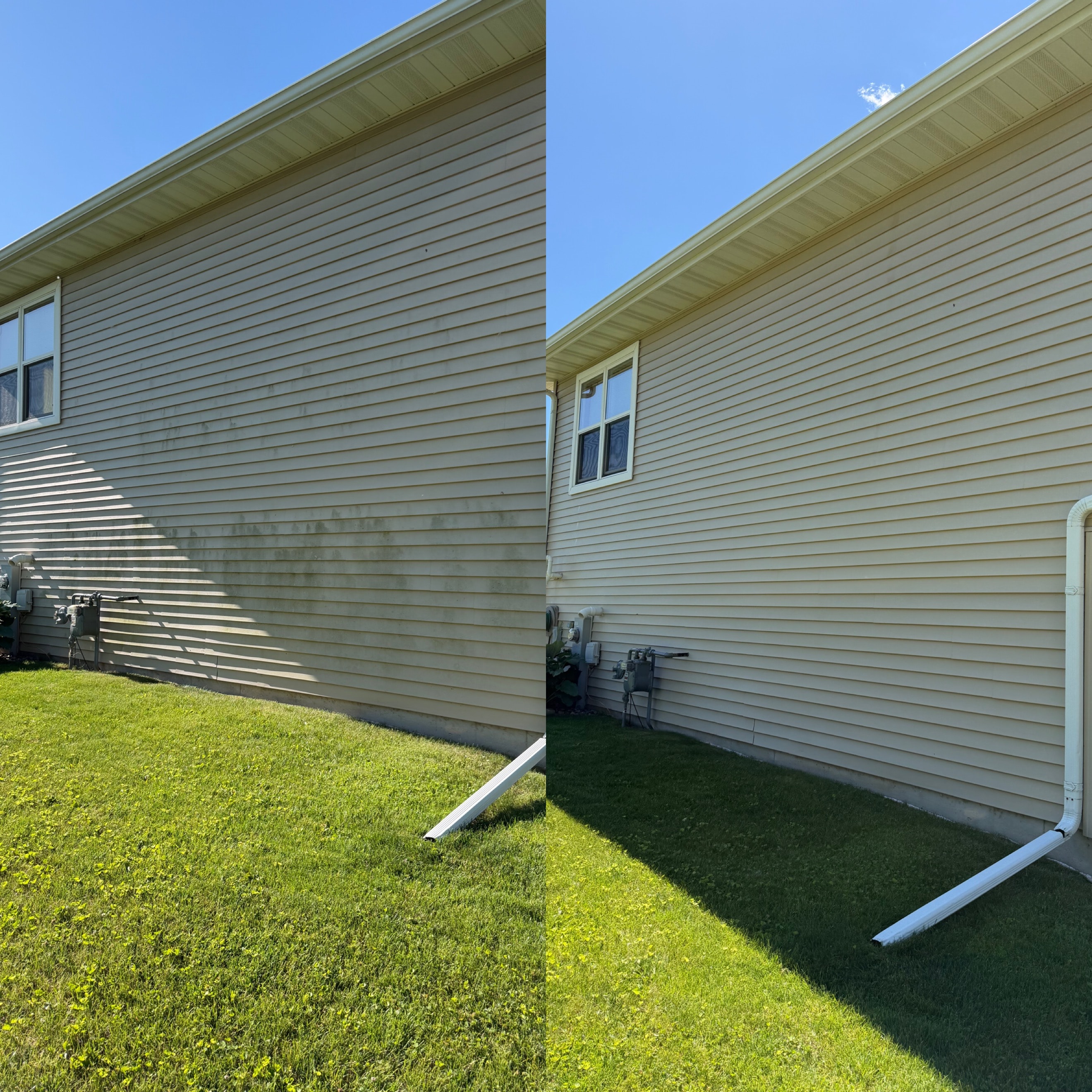 White house siding before soft washing — covered in algae and mold